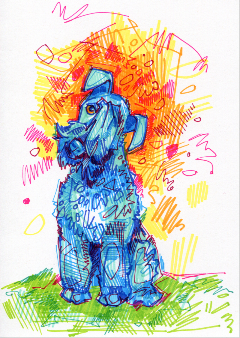 drawing Kerry Blue Terrier