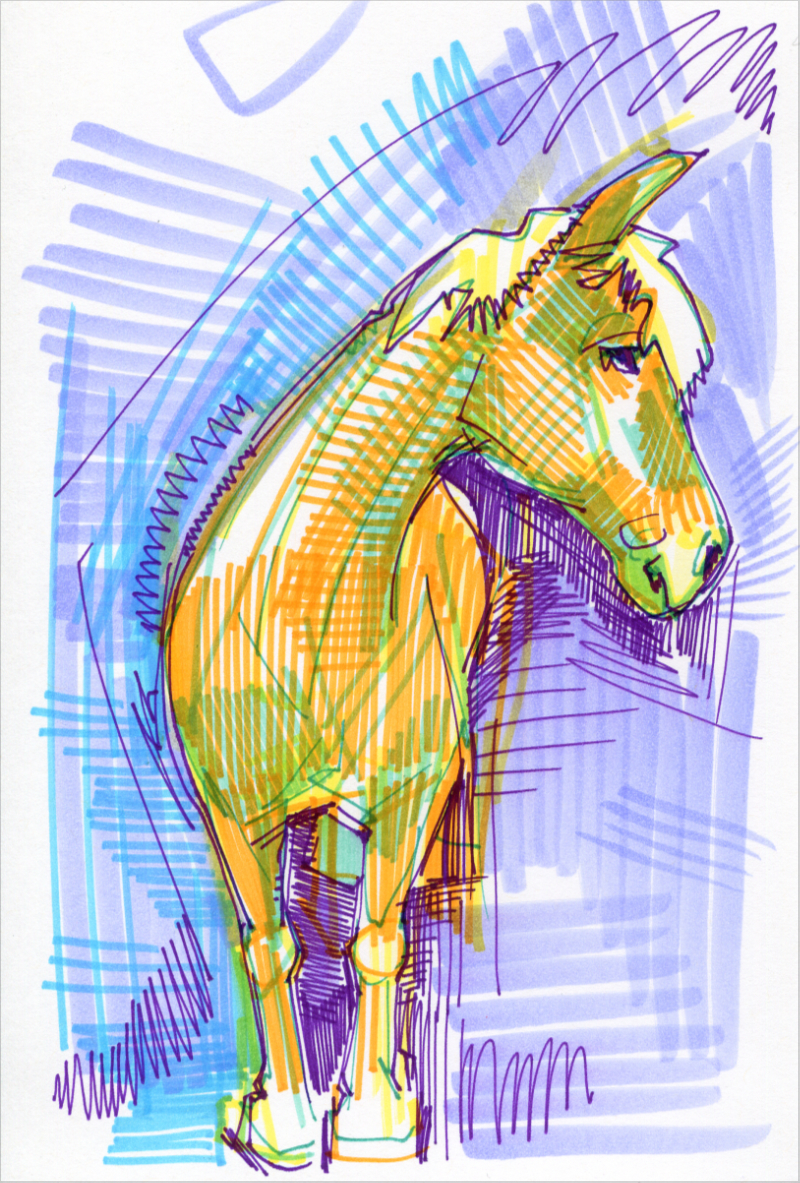 horse colorful drawing