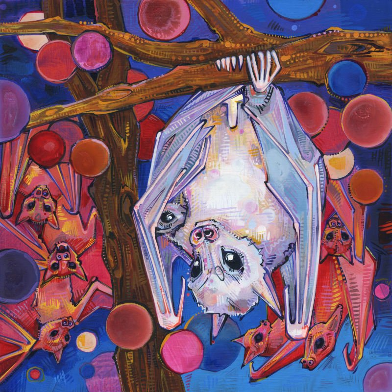 painting of a Dayak fruit bat by intersectional feminist artst Gwenn Seemel