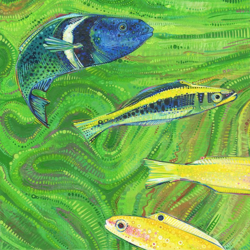 poissons, peints à l’acrylique par l’artiste franco-américaine Gwenn Seemel