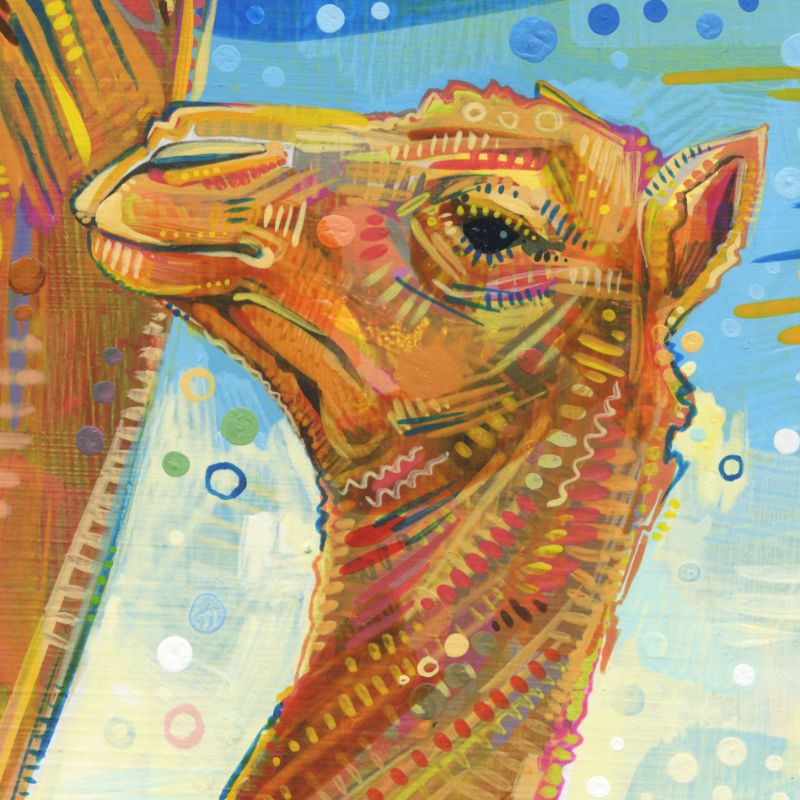 camel illustration by queer artist Gwenn Seemel