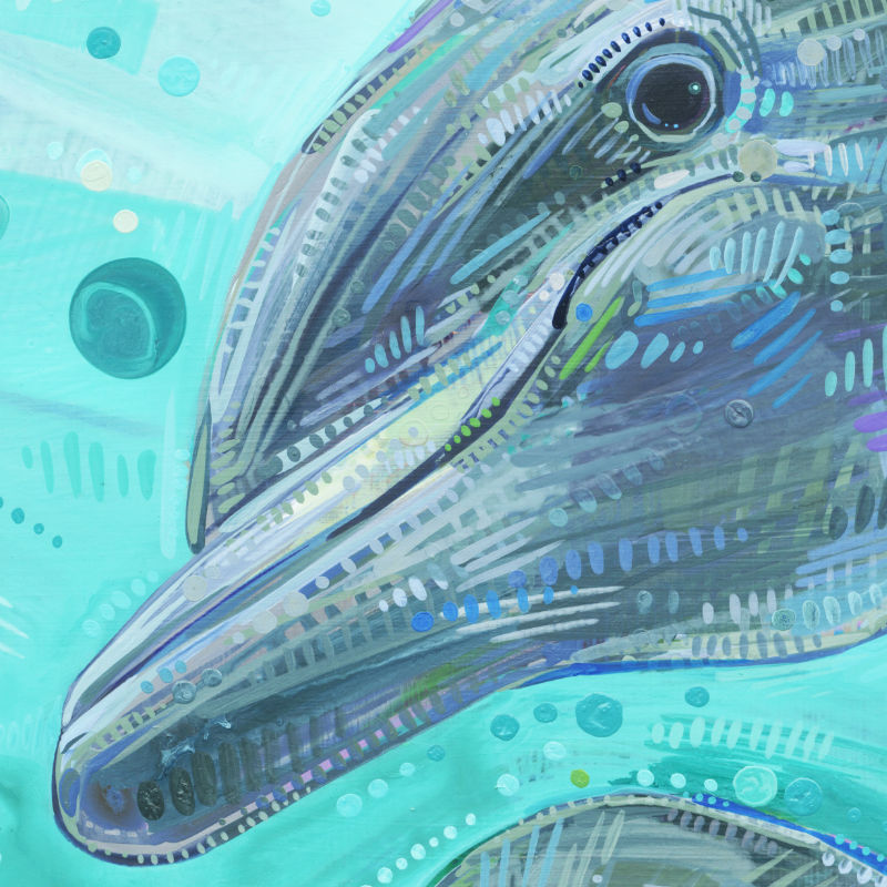 dolphin illustration by acrylic painter Gwenn Seemel