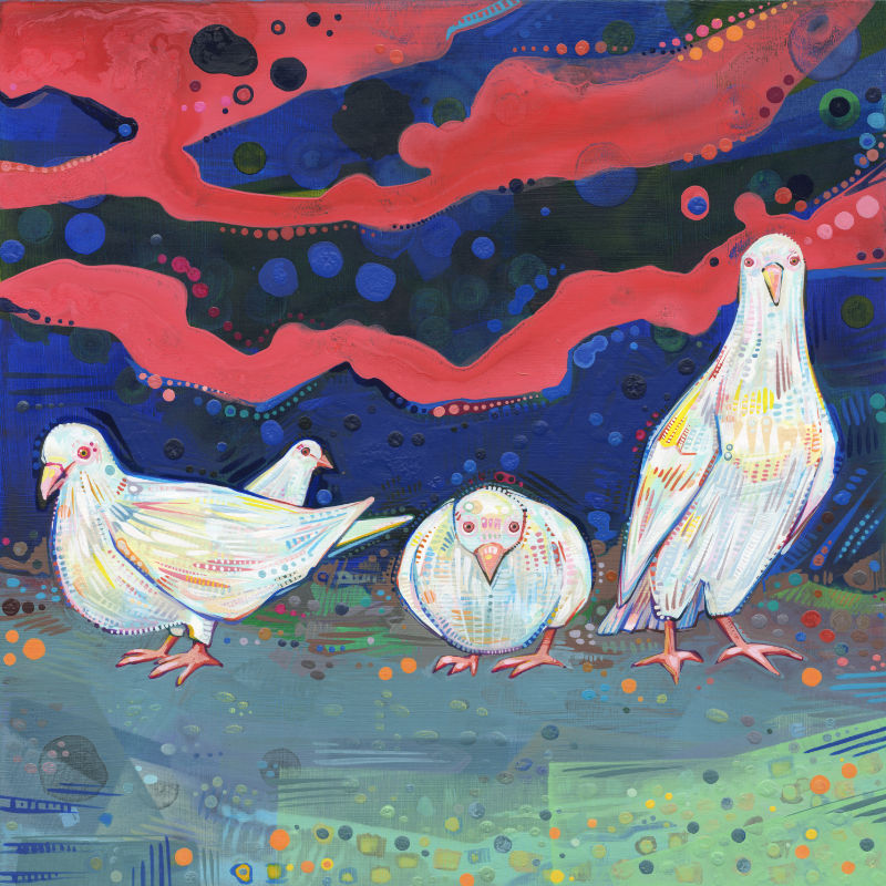 painting of white ringneck doves by bird artist Gwenn Seemel
