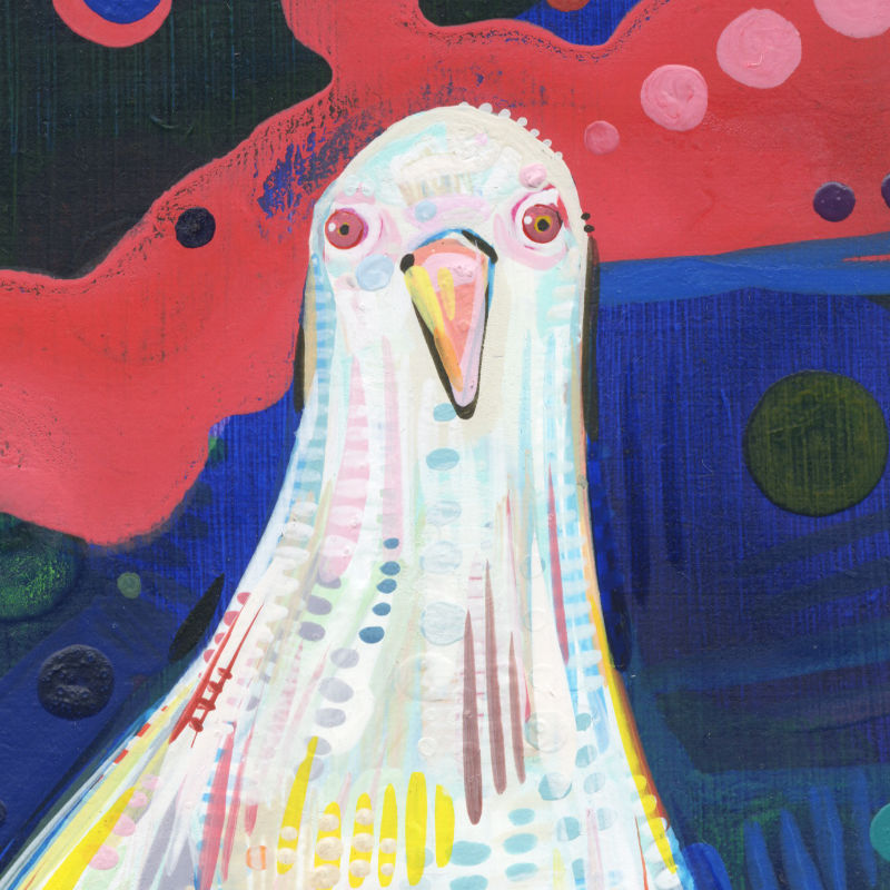 dove wildlife painting by acrylic artist Gwenn Seemel