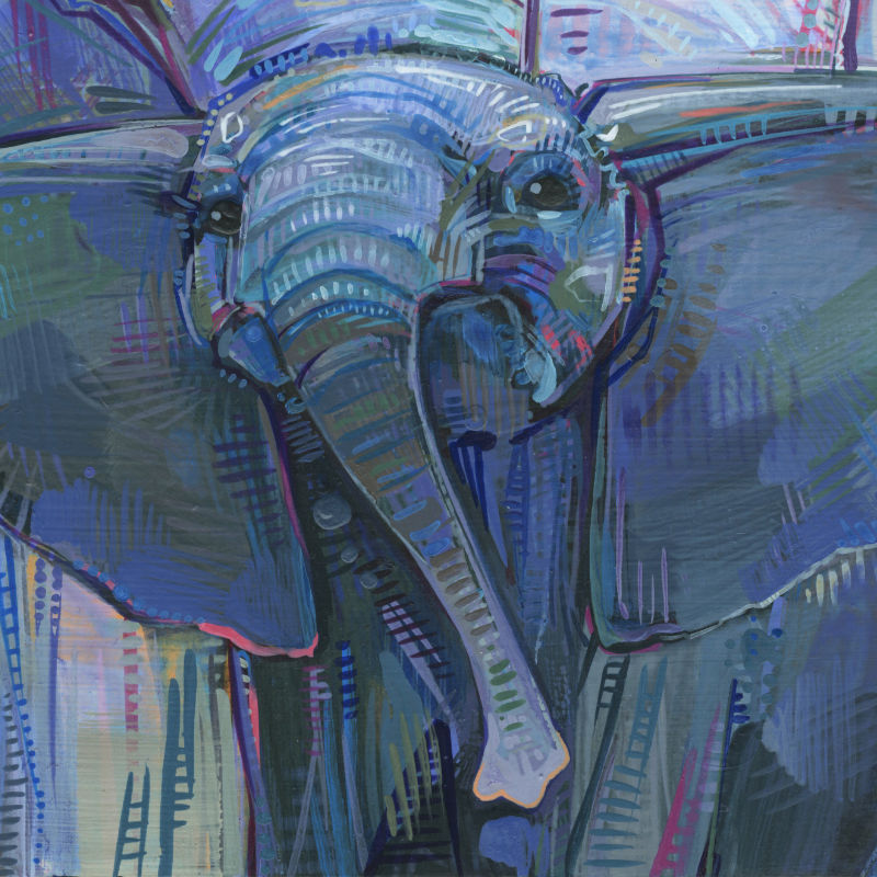 elephant painting by wildlife illustrator Gwenn Seemel