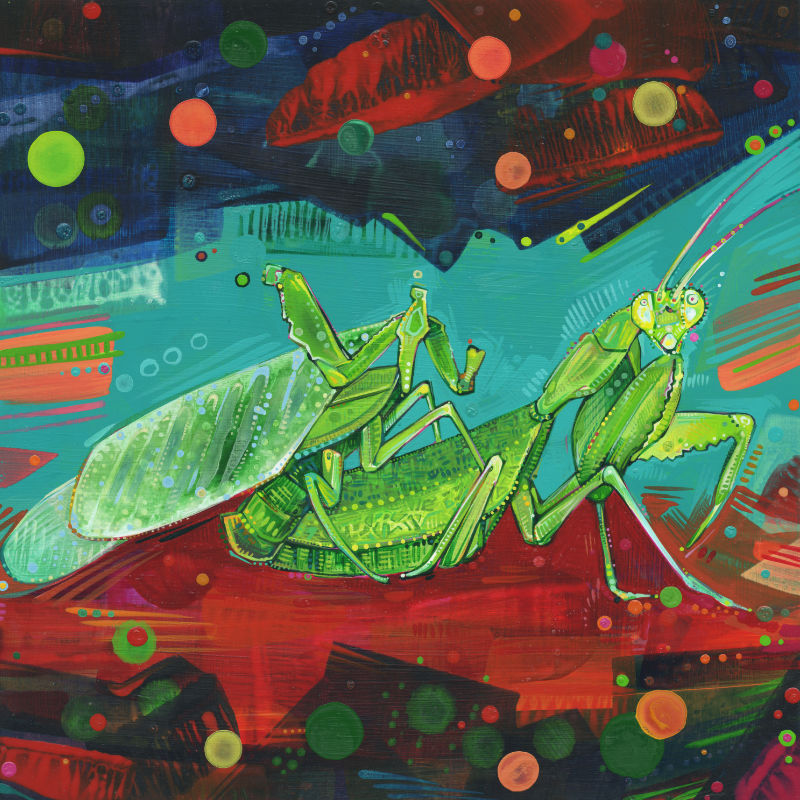 painting of African mantis mating by feminist artist Gwenn Seemel