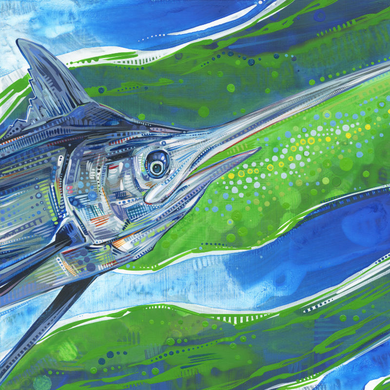marlin bleu, peint à l’acrylique par l’artiste animalier Gwenn Seemel