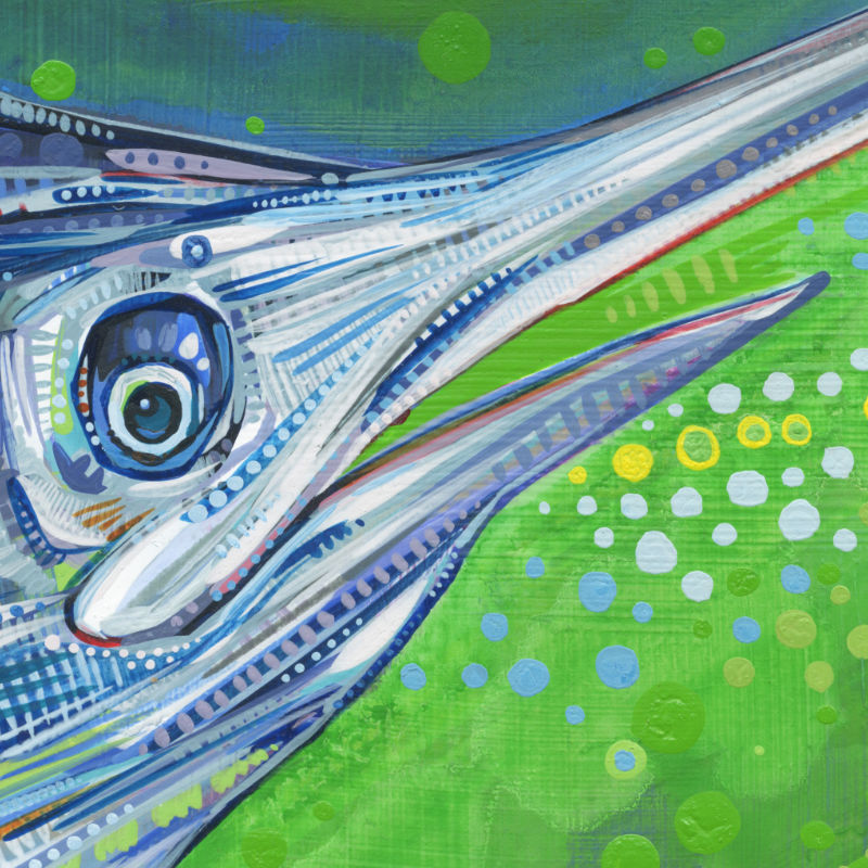fish painting by artist Gwenn Seemel