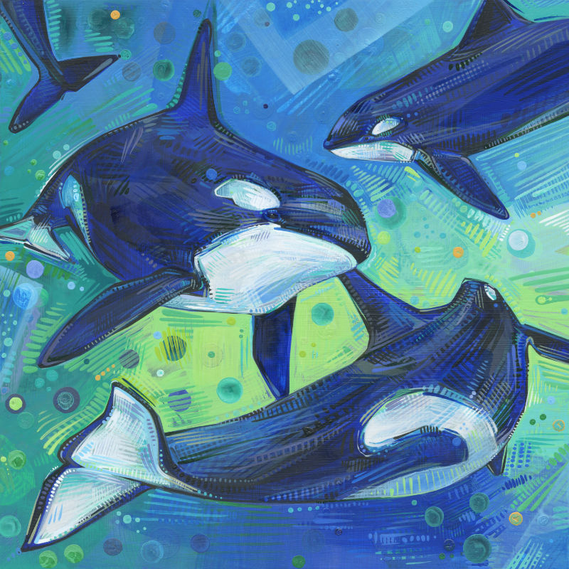 orques, peints à l’acrylique par l’artiste franco-américaine Gwenn Seemel