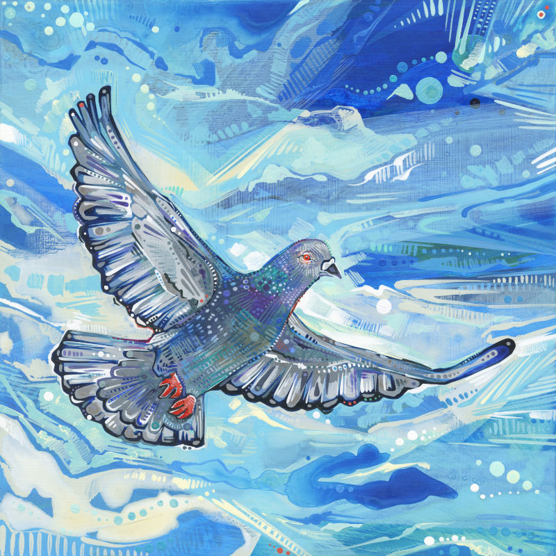 painting of a pigeon flying by wildlife artist Gwenn Seemel