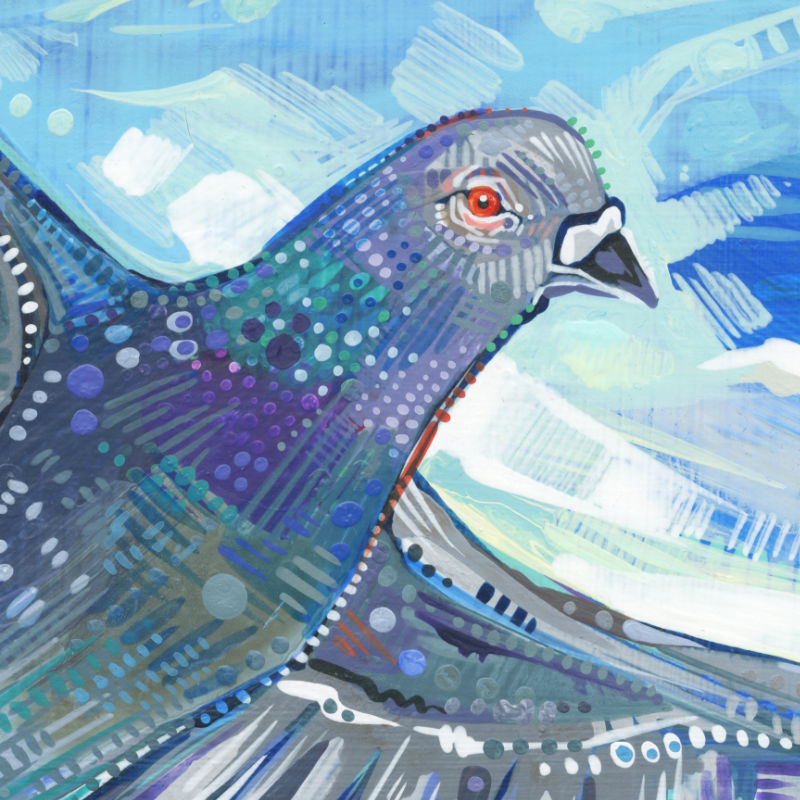 beautiful flying pigeon painting by bird artist Gwenn Seemel