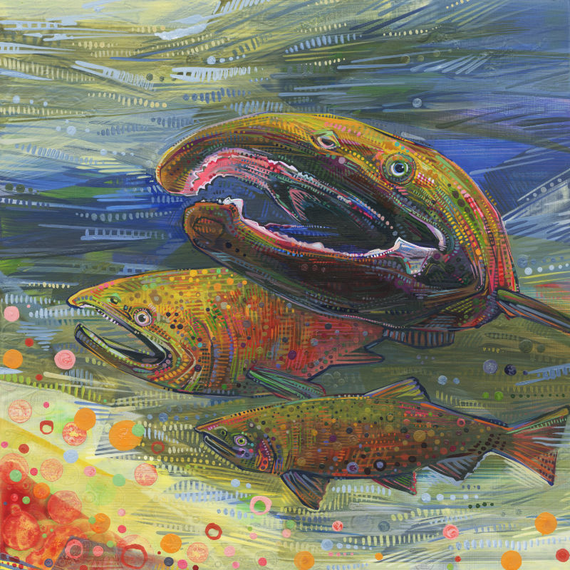 all three Coho salmon genders, painting by wildlife artist Gwenn Seemel