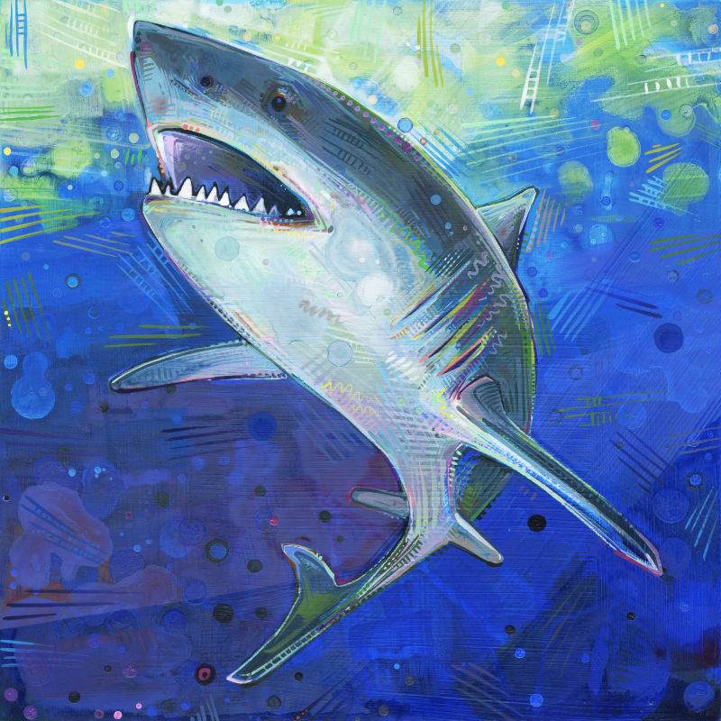 grand requin blanc, peint à l’acrylique par l’artiste queer Gwenn Seemel