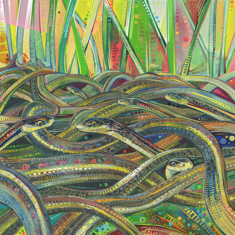 colorful and dynamic painting of garter snakes by queer artist Gwenn Seemel