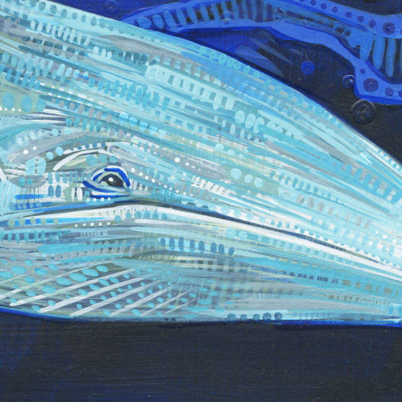 baleine peinture par Gwenn Seemel