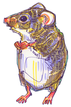 mouse with twitching nose GIF by digital artist Gwenn Seemel