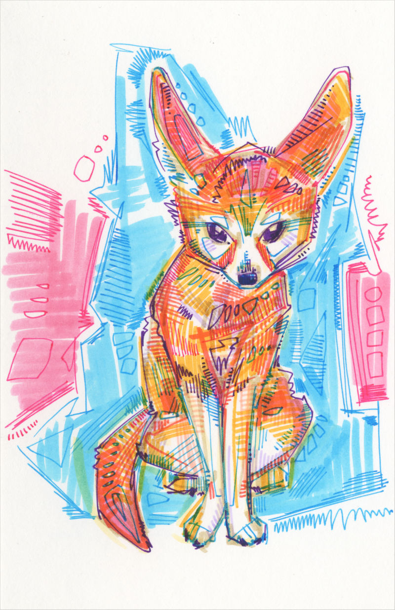 drawing of a Fennec fox