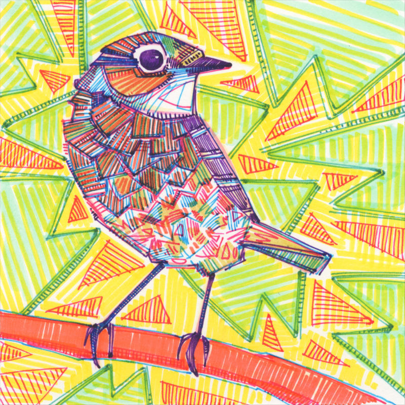 drawing of a sparrow