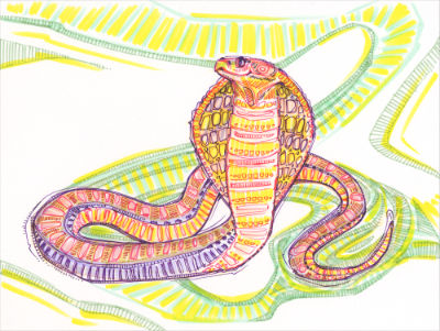 dessin d’un serpent