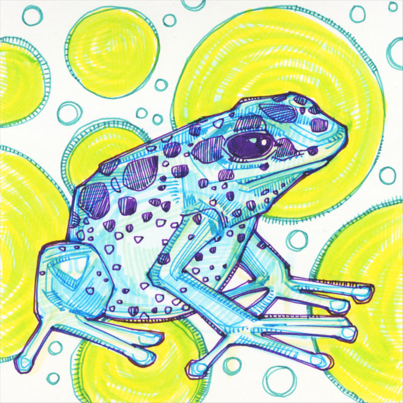 a crosshatched drawing of a blue frog with purply spots, green spots in the background