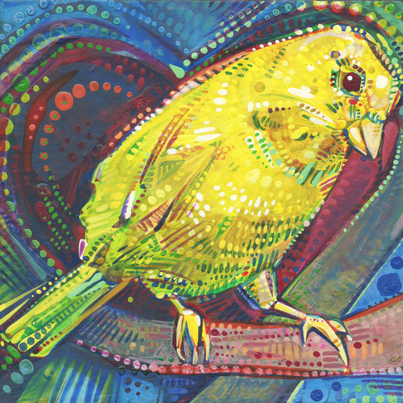 a colorful crosshatched painting of a canary sitting on a branch with the shape of a heart behind the bird