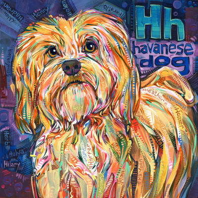 H is for Havanese dog, alphabet book illustration art by Gwenn Seemel