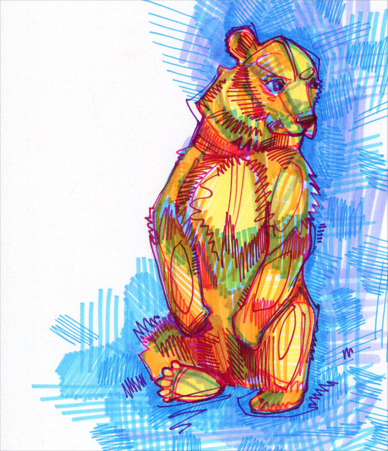 bear colorful drawing
