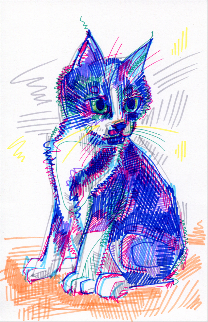 dessin d’un chat