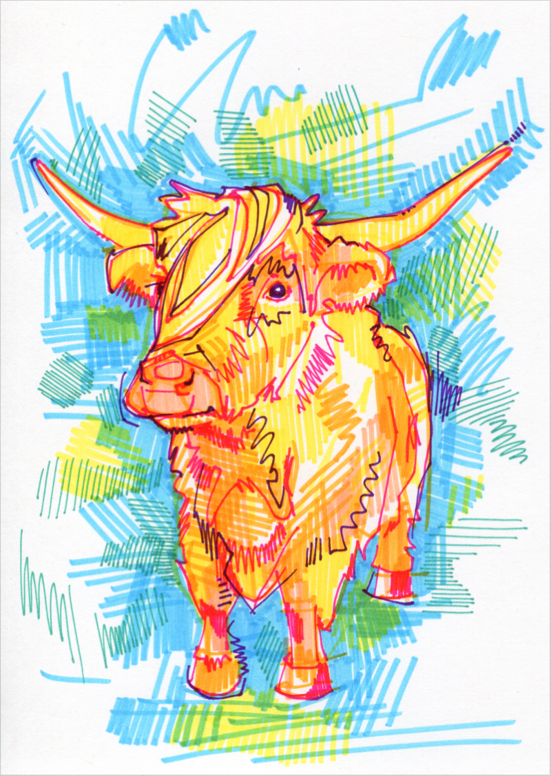 Highland Cow colorful drawing