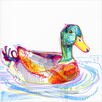 duck drawing in marker on paper