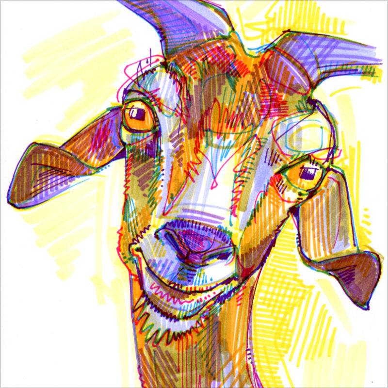 chèvre dessiné en marqueurs sur papier