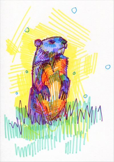 rainbow groundhog drawing by Gwenn Seemel