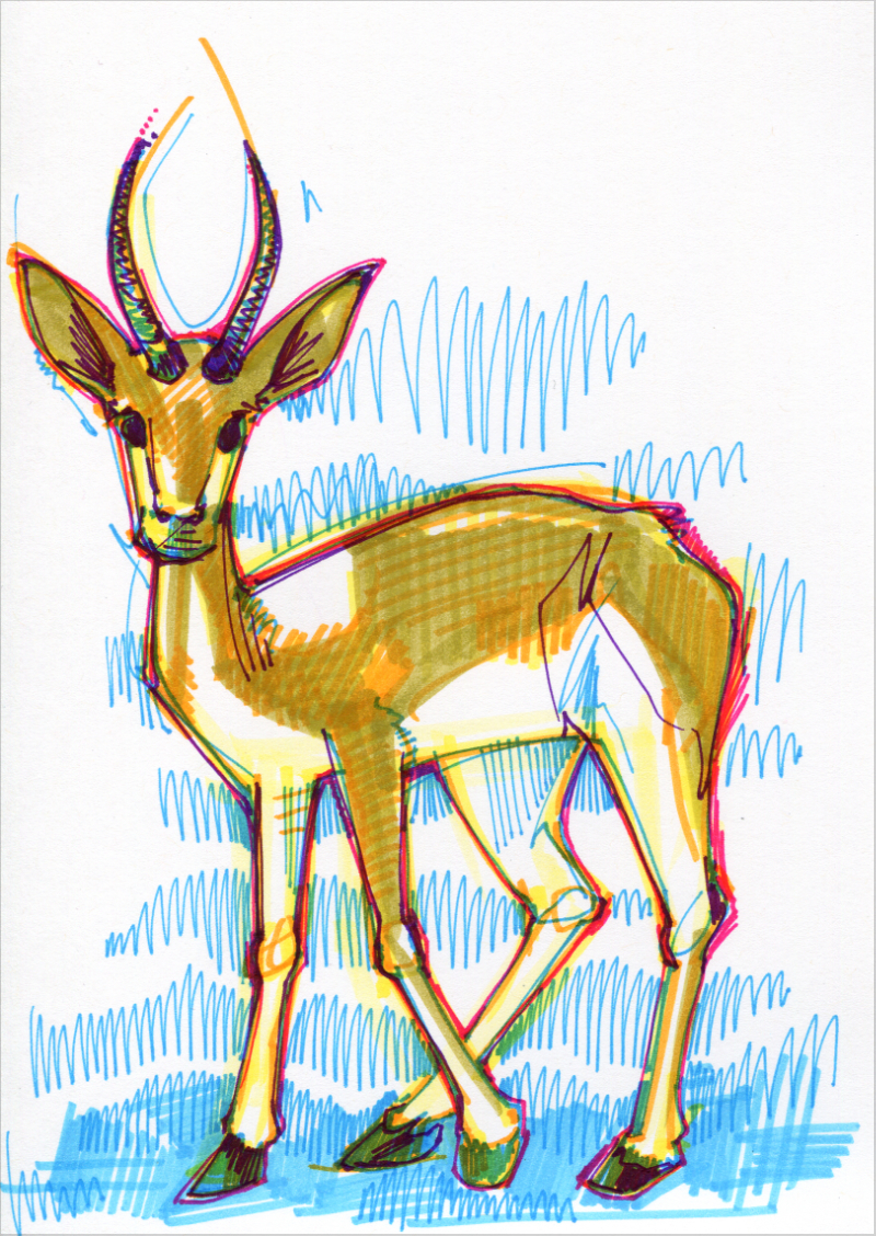 impala art