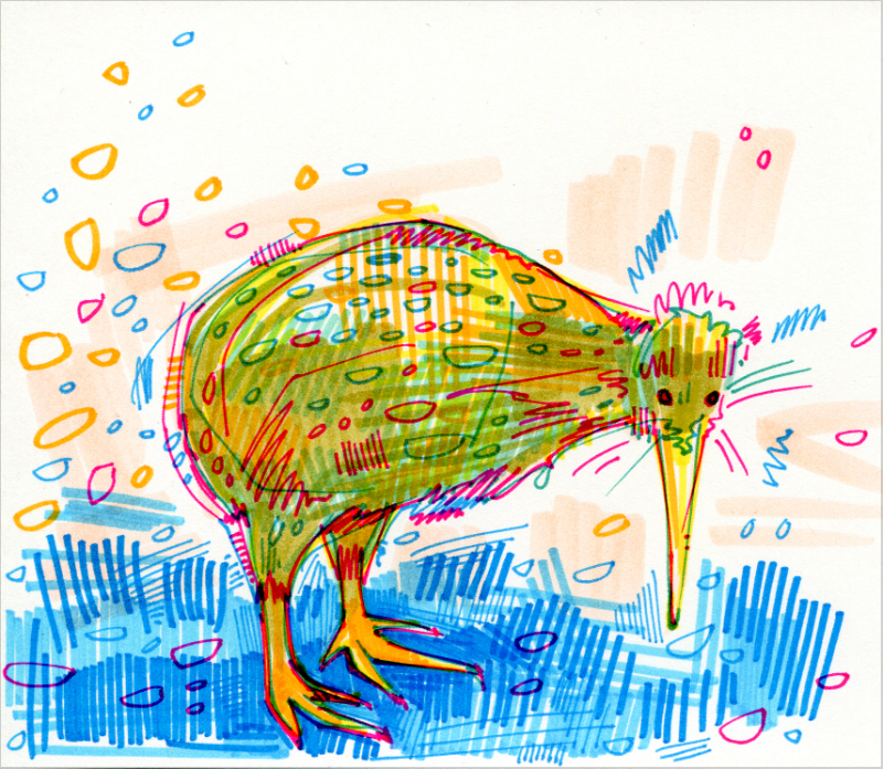 kiwi illustration