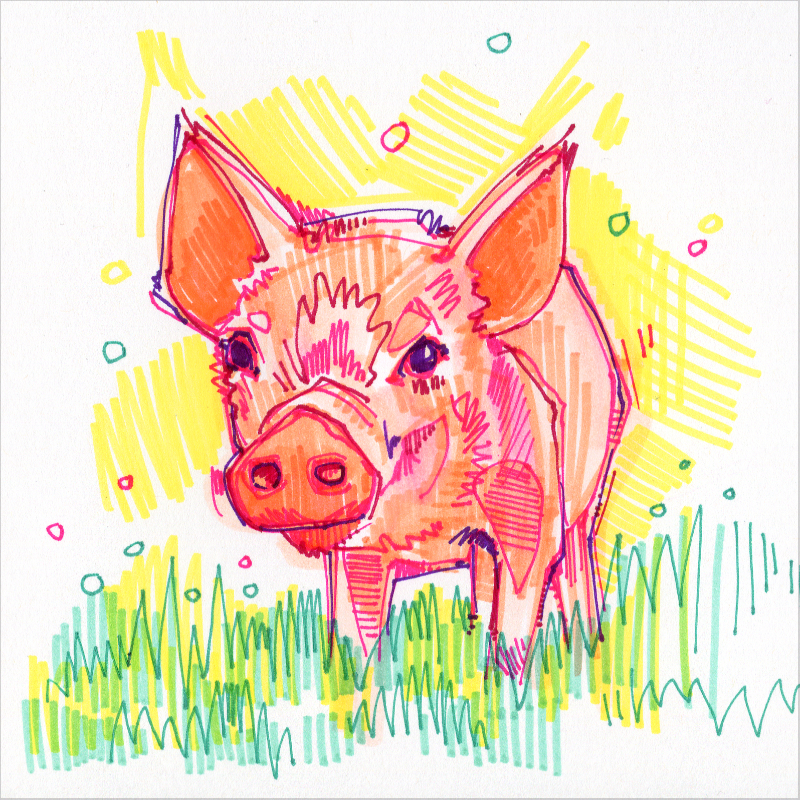 piglet colorful drawing