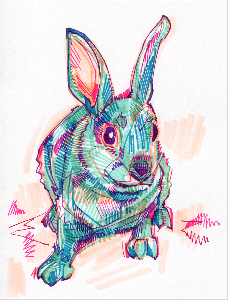 aqua rabbit drawing, lots of expressive marks