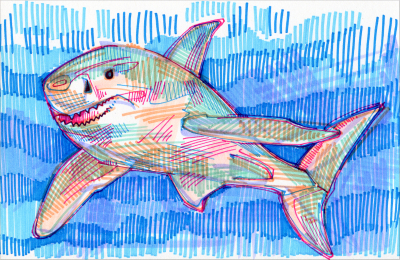 shark illustration by wildlife artist Gwenn Seemel