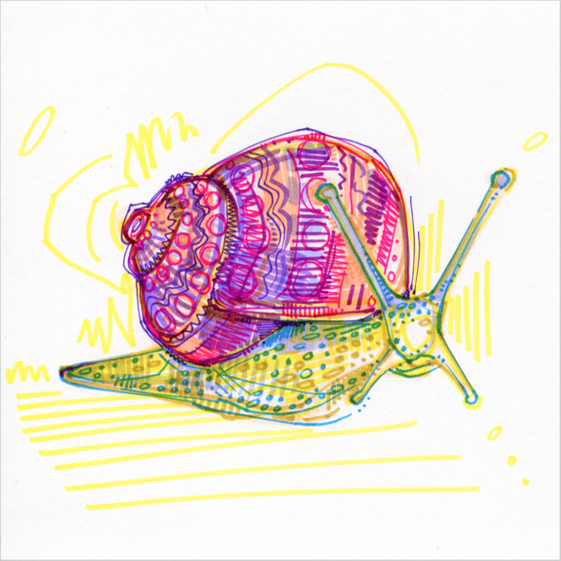 snail colorful drawing