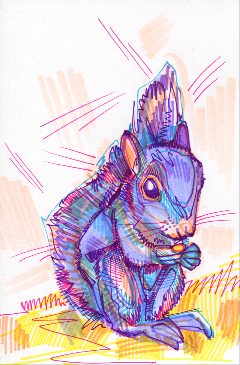 squirrel colorful drawing