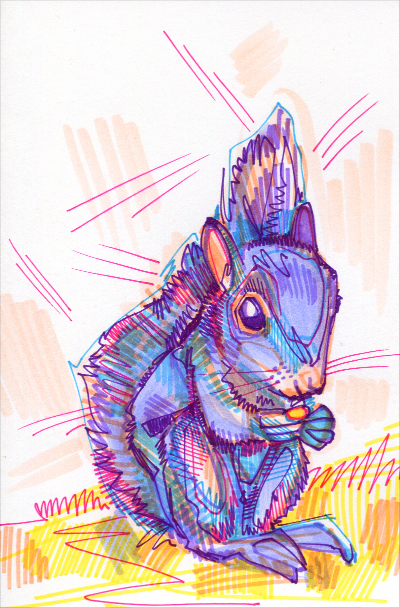 écureuil violet illustration