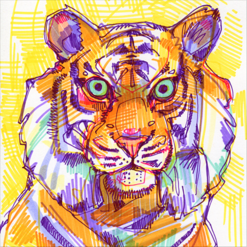 tiger illustration with a yellow background