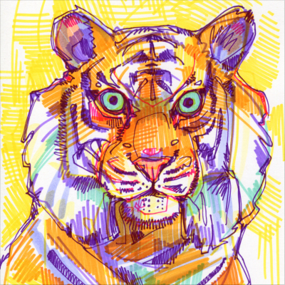 tiger illustration by wildlife artist Gwenn Seemel