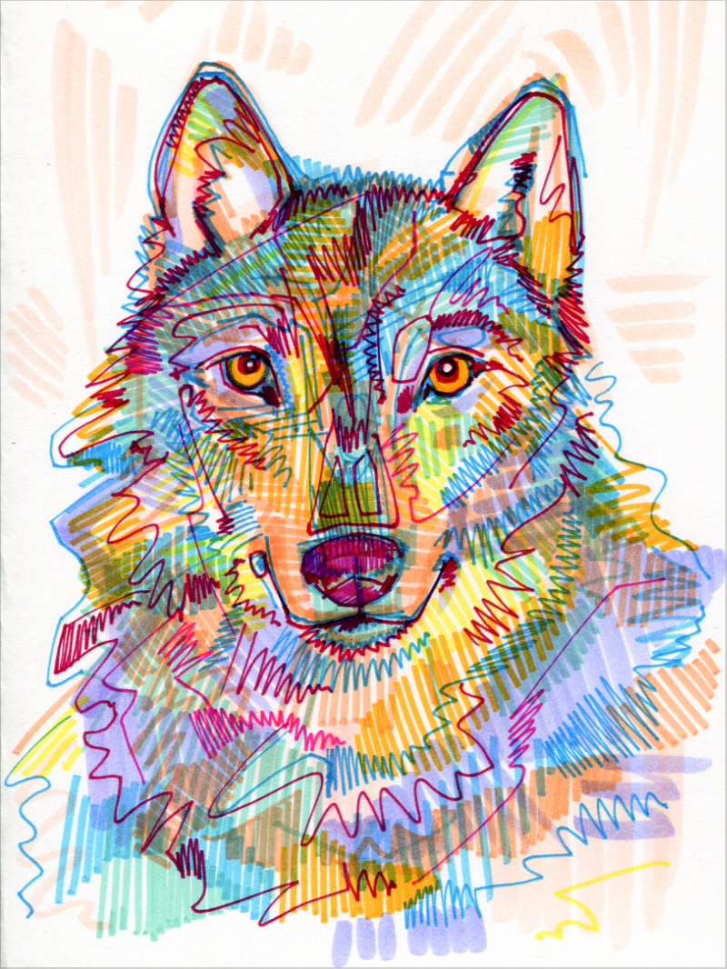 drawing in marker on paper of a wolf
