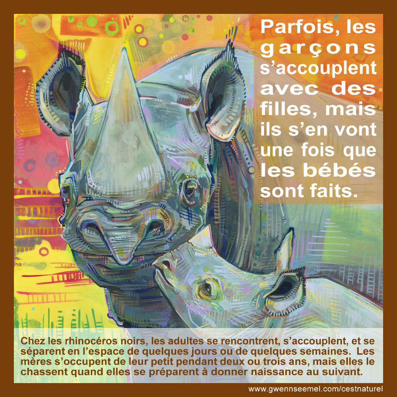 Chez les rhinoc&eacute;ros noirs, les adultes se rencontrent, s&rsquo;accouplent, et se s&eacute;parent en l&rsquo;espace de quelques jours ou de quelques semaines. Les m&egrave;res s&rsquo;occupent de leur petit pendant deux ou trois ans, mais elles le chassent quand elles se pr&eacute;parent &agrave; donner naissance au suivant.
