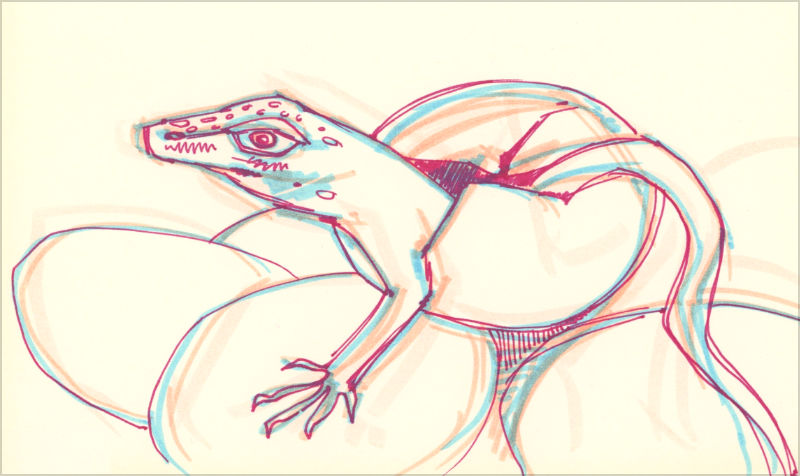 dessin au feutre d&rsquo;un l&eacute;zard sortant d&rsquo;un &oelig;uf