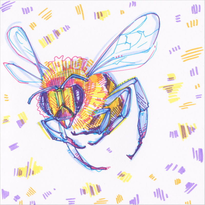 sketch of a bee