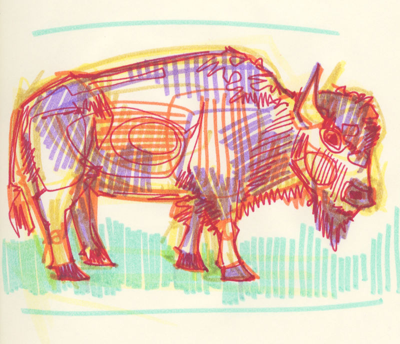buffalo drawing in marker on paper