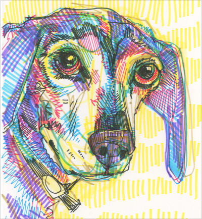 illustration en marqueur sur papier chien