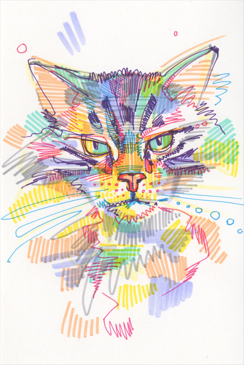 marker on paper cat drawing