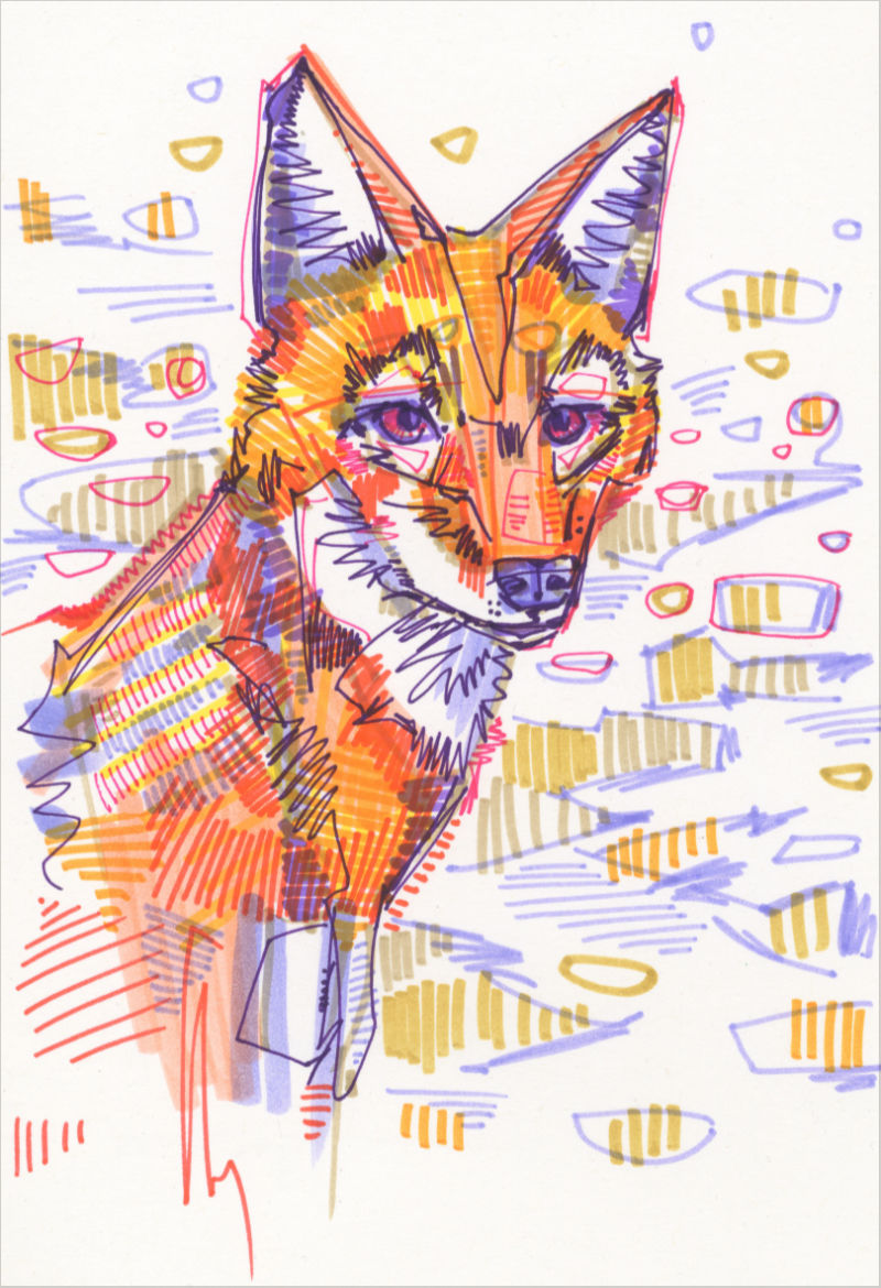 drawing of a simien fox